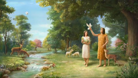 God Makes Coats of Skins for Adam and Eve | GOSPEL OF THE DESCENT OF ...